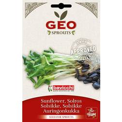 Geo Solrosfrö Sv EKO 80g Frø