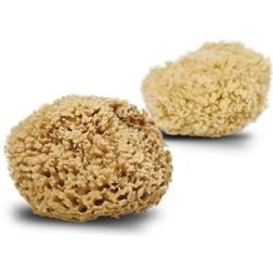 Cocoon Company Honeycomb Wool natursvamp fra Middelhavet, 13-14 cm