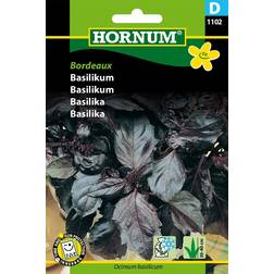 Hornum Basilikum, rød, Bordeaux D Krydderurtefrø