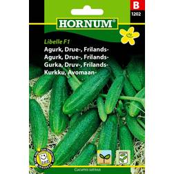 Hornum Agurk, Drue-, Frilands-, Libelle F1 Grøntsagsfrø