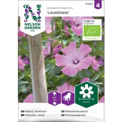 Nelson Garden Malva, Sommar-, Loveliness, Organic Blomsterfrø
