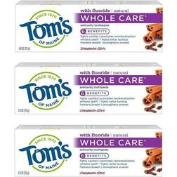 Tom's of Maine Whole Care Anticavity Toothpaste Cinnamon Clove 4