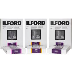 Ilford 1x100 MG RC DL 25M 13x18