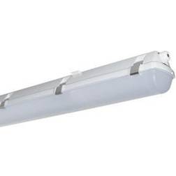 Prima Prima Led Max 1500 5500/840 -40/ 60°c