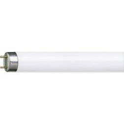 Philips MASTER TL - D Fluorescent Lamps 18W G13