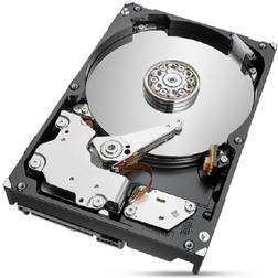 Seagate Hårddisk ST2000NT001 3,5" 2000 GB