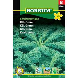 Hornum Kål, Grøn-, Halbhoher Grünerkraüser B Grøntsagsfrø