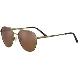 Serengeti Odell Polarized SS555002