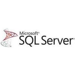 Microsoft Microsoft SQL Server - license and software insurance - 1 unit CAL