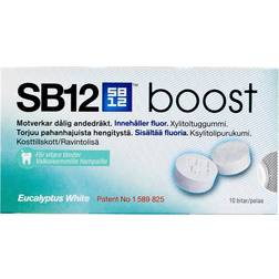 SB12 Boost Eucalyptus White Chewing Gum 10st