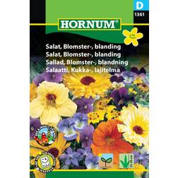 Hornum Salat, Blomster-, blanding D