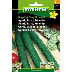 Hornum Agurk, Salat-, Frilands-, Burpless F 1211 Grøntsagsfrø