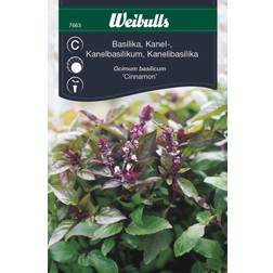 Weibulls Basilika, Kanel Cinnamon Græsfrø