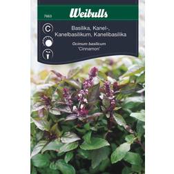 Weibulls Basilika, Kanel Cinnamon