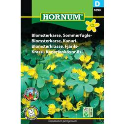 Hornum Blomsterkarse, Sommerfugle D 1890