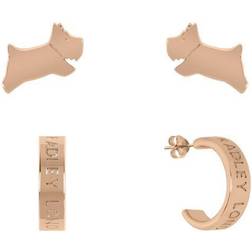 Radley Ladies Radley Lockwood Island Earrings