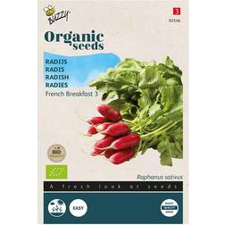 Buzzy® Organic Radish Seeds French Breakfast