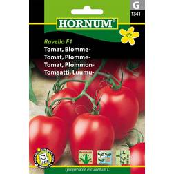 Hornum Tomat, Blomme-, Ravello F1 G Grøntsagsfrø