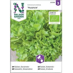Nelson Garden Økologisk Endiviesalat frø, Nuance Grøntsagsfrø