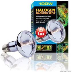 Exo Terra Sun Glo Halogen 100 W