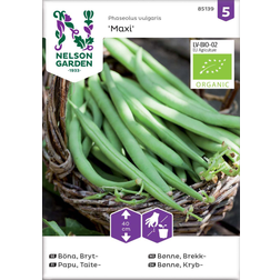 Nelson Garden Böna, Bryt-, Maxi, Organic Grøntsagsfrø