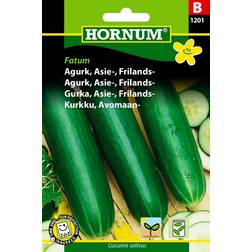Hornum Agurk, Asie-, Frilands-, Fatum B Grøntsagsfrø