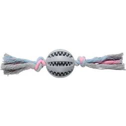 Companion Dental Chewing ball on rope