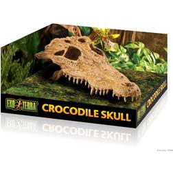 Exo Terra Fantastisk Krokodille Cranium