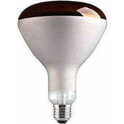 Ruby Red Infra Red Bulb 250w