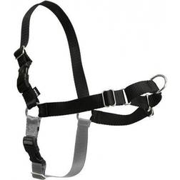 PetSafe Easy Walk Harness & 1.8m Lead for Medium Dogs Non-Pull Collar