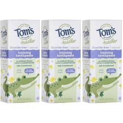 Tom's of Maine Toddler Training Toothpaste Fluoride Free Mild Fruit 1.75