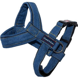 Gustaf & Evita Pro Textil Y-Harness 3