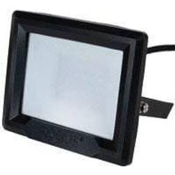 Robus HiLume 100W LED Flood Light