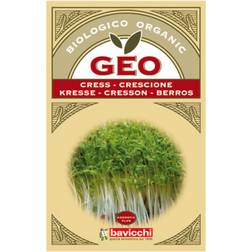 Geo Karse spiring 35 g.