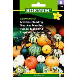 Hornum Græskar, blanding, Gourmet Mix E 1239 Blomsterfrø