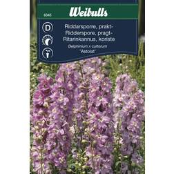 Weibulls Riddarsporre Astolat Blomsterfrø