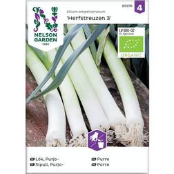 Nelson Garden Økologisk Porre frø, Herfstreuzen 3 Grøntsagsfrø