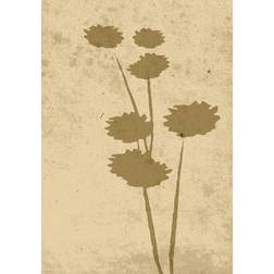 Venture Home Poster - Flower art Plakat