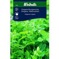 Weibulls Oregano/kungsmynta Frö Græsfrø