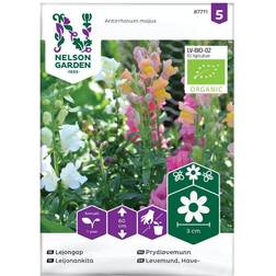 Nelson Garden Lejongap, mix, Organic Grøntsagsfrø