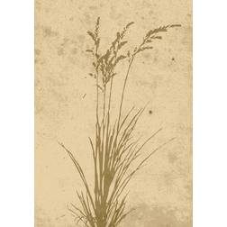 Venture Home Poster - Plant art Plakat