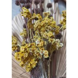 Venture Home Poster - Bouquet - 21x30 Poster