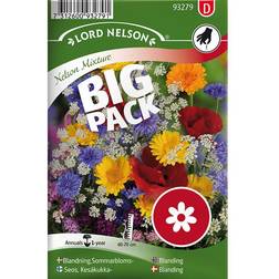 Nelson Garden Sommarblommor Mix Big Pack