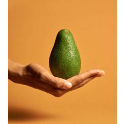 Venture Home Avocado Poster