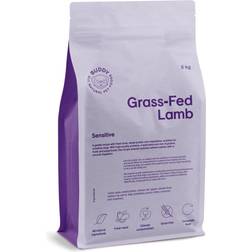 Buddy Pet Foods Grass-Fed Lamb Sensitive 5