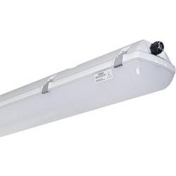 Prima Led Ex 1500/2 Pcc 11000/840 3f Ip66