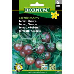 Hornum Tomat, Cherry-, Chocolate Cherry G Grøntsagsfrø