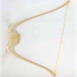 BestSaller Sports Bue 100 cm