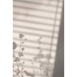 Venture Home Poster - Flower shadow Plakat