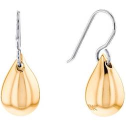 Calvin Klein Sculptural Drop Earrings - Silver/Gold